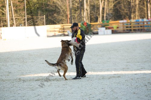 Professional Dog Trainer's Suit