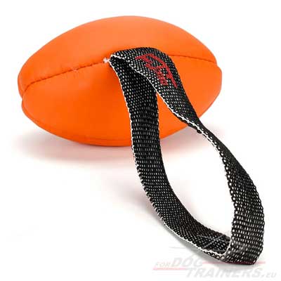 Dog Ball with Handle for Training and Walks