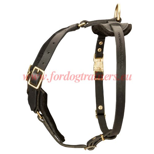 Excellent
Quality Dog Harness for Mastiff