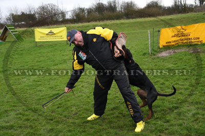 Comfy Cap for Dog Sports