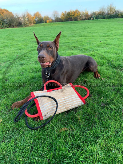 Biteproof Jute Pad for Dog Education