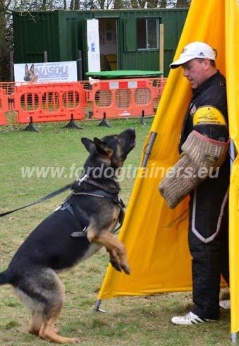 Cachette pour Formation Canine