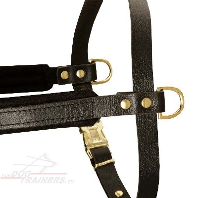 Genuine Leather Dog Harness for Pulling