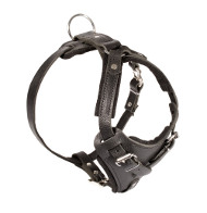 Leather Dog Harness Top