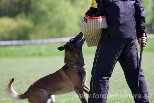 Bite Training Equipment for Dog Sports