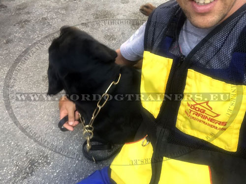 Ventilated Vest for Dog Handler