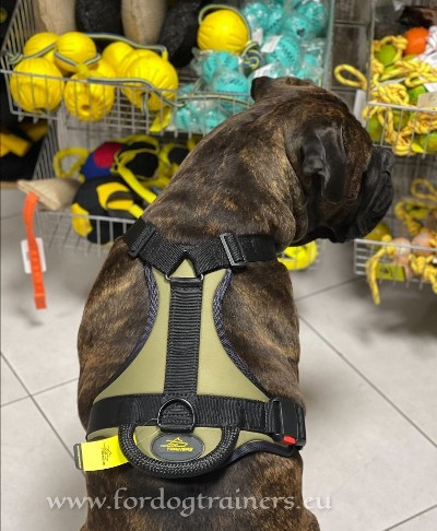 Bullmastiff Dog Harness Khaki