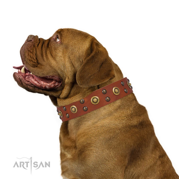 Handmade Dog Collars