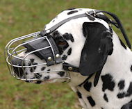 Wire Basket Dog Muzzle for Dalmatian [M4###1057 Museruola universale a cestello di filo nichelato per Dalmata]