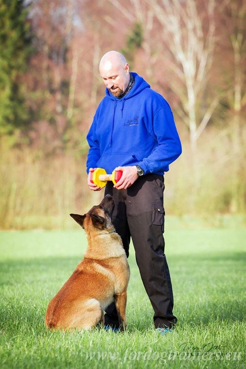 Dumbbell for Fun Malinois Training