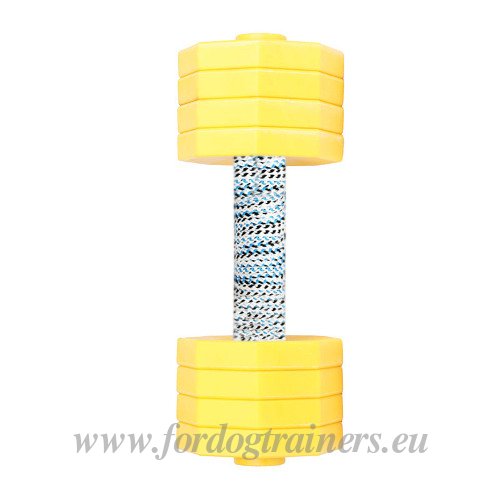 Wooden Dog Dumbbells for Training