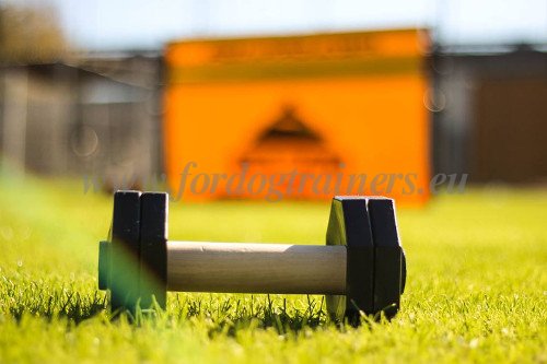 Dumbbell Handmade Wood and Polymeric Plastic