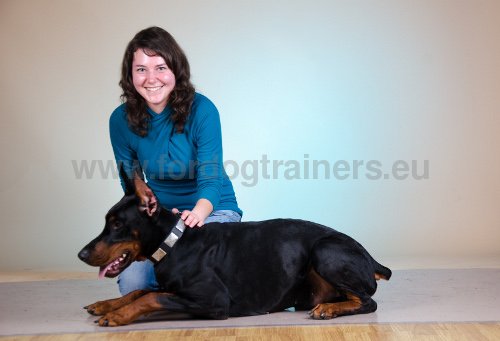 Collier décoré pour Dobermann