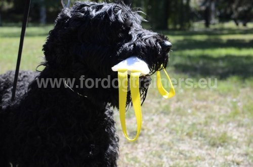 Boudin de rappel pour chien