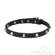 Collier mince pour chien | Collier TOP Bon Prix◖◗