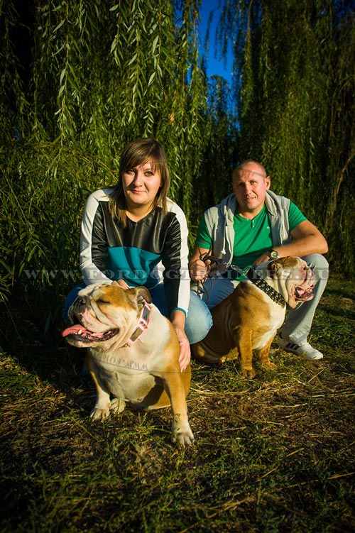 Cute Bulldogs & Their Owners