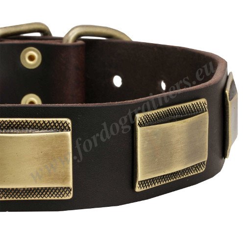 Handmade Studded Dog Collar with Plates