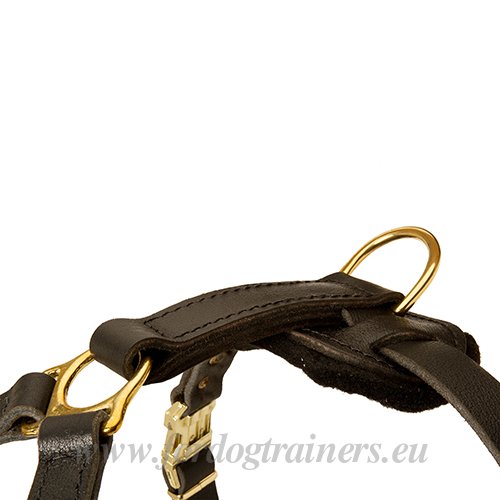 Felt-padded Leather Dog Harness for Mastiff