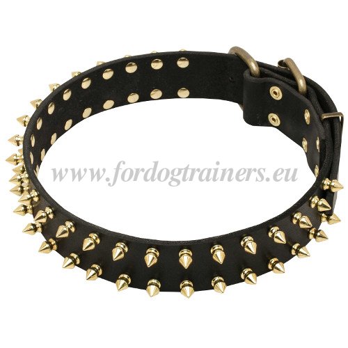 einzigartiges Lederhalsband mit Spikes