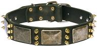 Dog Collar with Spikes and Plates