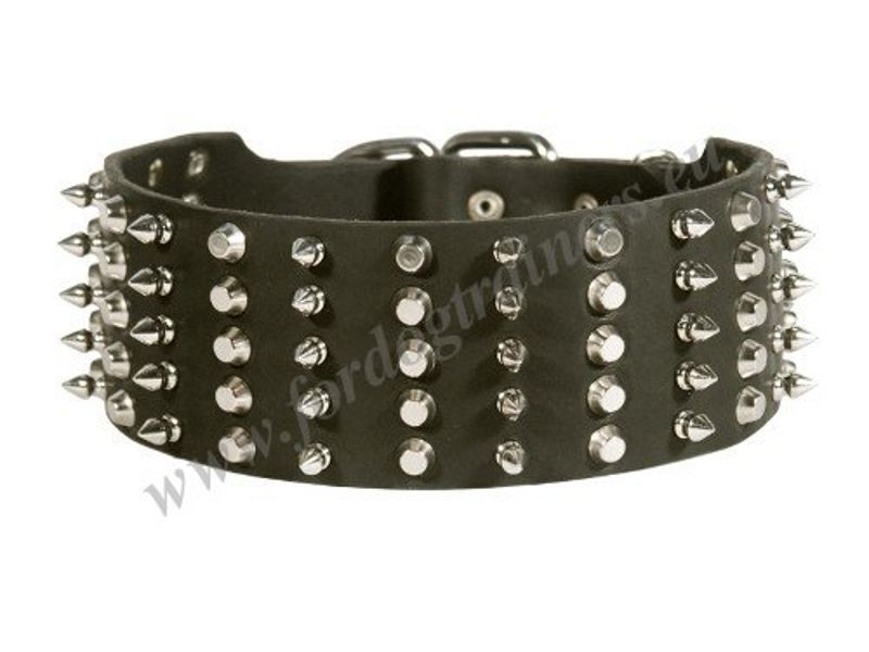 Englische Bulldogge Spikes und pyramiden Halsband [C91##1057 Collare in  cuoio con borchie a punta e piramidi per Bulldog inglese] : K9  Hundegeschirre, Maulkoerbe und Halsbaender mit Hundeleinen EU von  Herstellern, Alles fuer