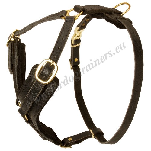 Dog
Harness Y-shape