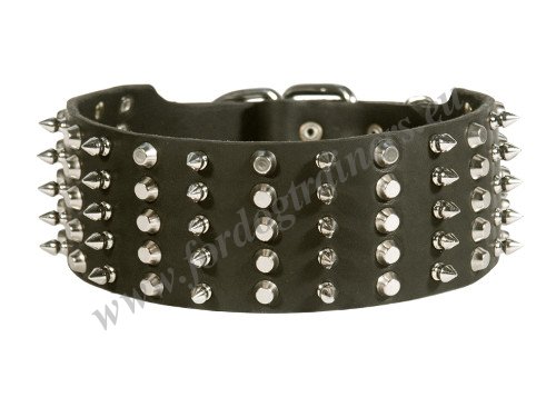 Spiked
Dog Collars for Bulldog