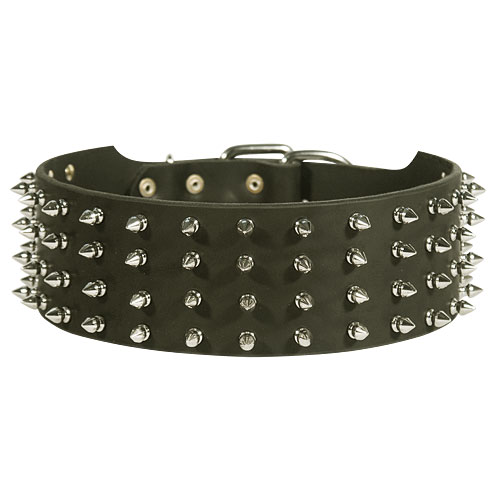 Big Dog
Wide Leather Collar