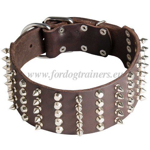 Walking Dog Collar Extra Wide