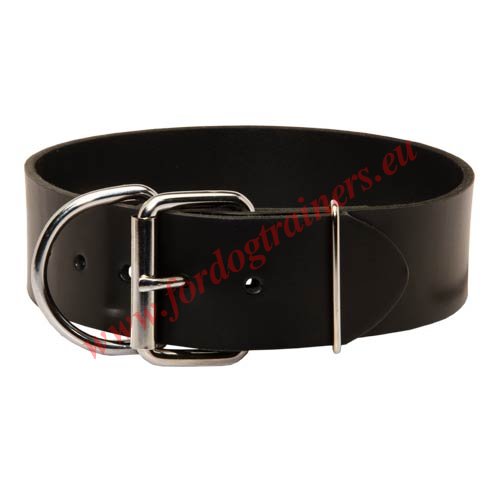 Extra Wide Training Dog Collar