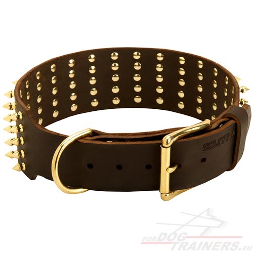 Genuine Leather Spiked Dog Collar Online