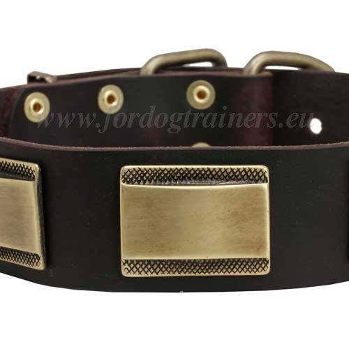 Handmade Dog Collar with Hand-riveted Details