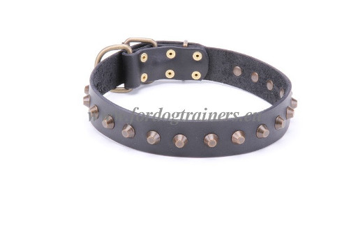 Original Dog
Collar with Decorative Pyramids