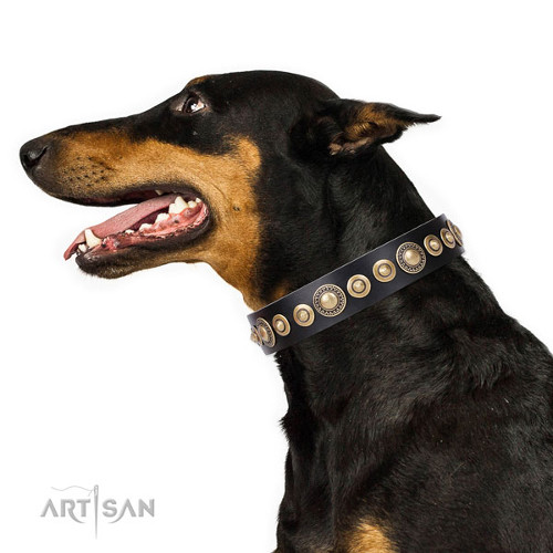 Military Dog Gold and Black Collar