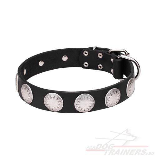 Leather Pet Collar with Large Studs