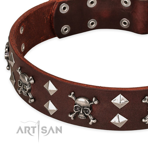 Luxury Dog Accessories Brown Leather