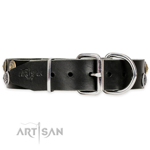 Big Dog Leather Collar