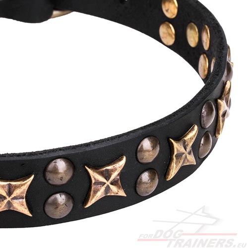 Leather Collar with Interesting Decoration