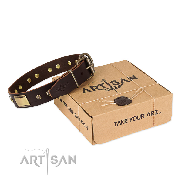 Brown Leather Dog Collar Artisan