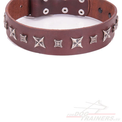 FDT Artisan Collar Brown Leather