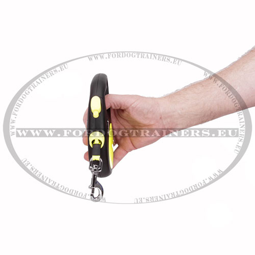 Nylon Tape Dog Leash