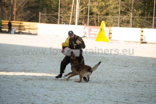 Fourreau + manchette de protection et fouet pour
entranement du chien