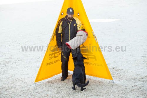 Costume pour dressage du chien au mordant