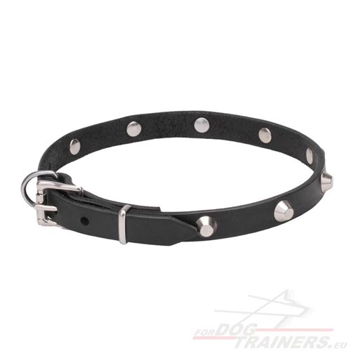 Small Dog Collar