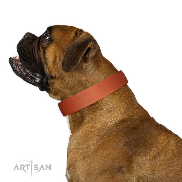 Solid Leather Collar Tan for Boxer