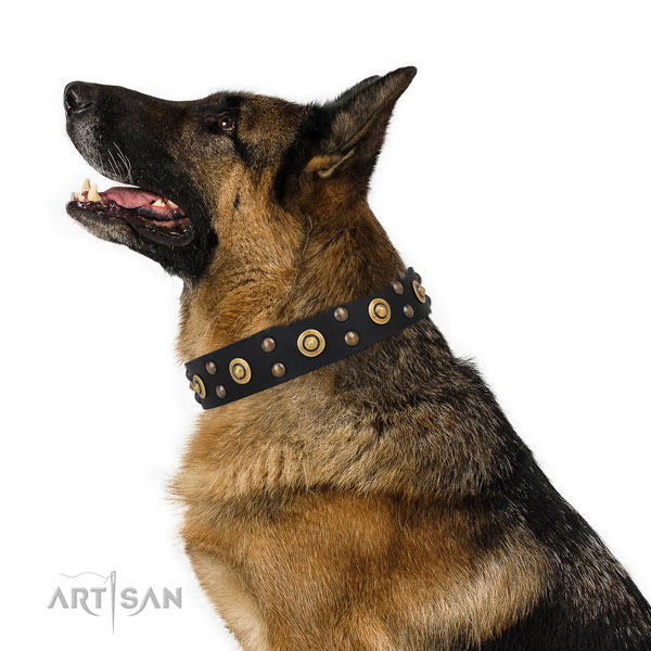 Decorative Leather Dog Collars for Service Dog