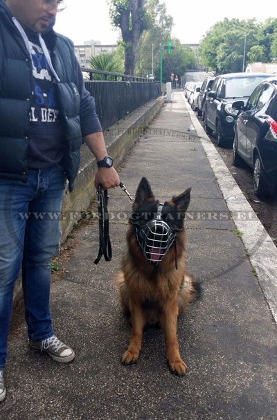 Top Quality Police Dog Muzzle for GSD