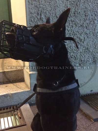 Dog Muzzle with Basket Cage and Padding