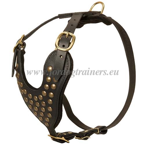Leather Dog Harness for German Shepherd with Studs ❤ - Click Image to Close