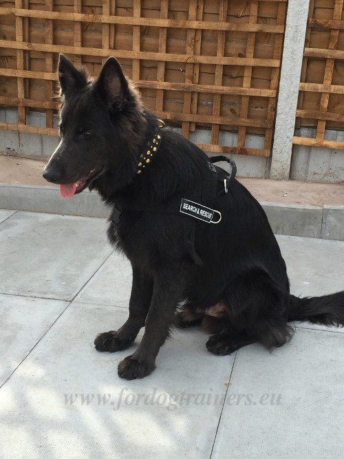 Harness with Patches for German Shepherd